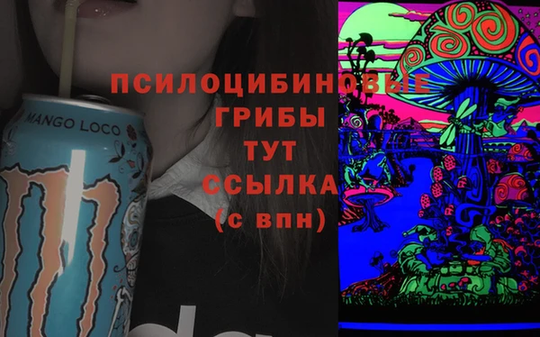 альфа пвп Медвежьегорск