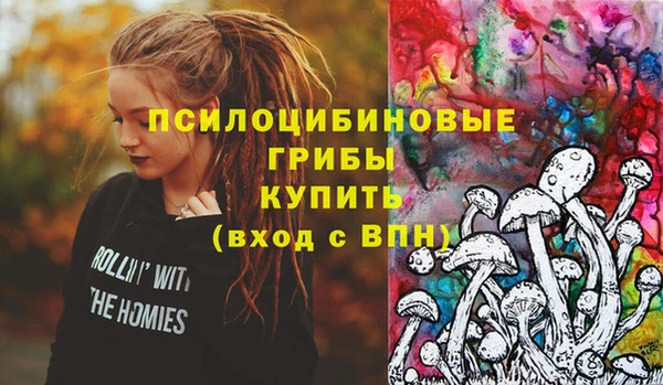 альфа пвп Медвежьегорск