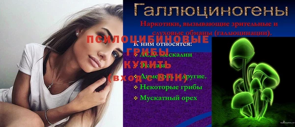 эйфоретик Майский