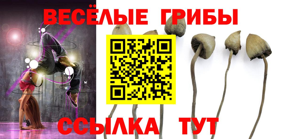 Тутаев  Псилоцибиновые грибы мухоморы  где найти наркотики  Вход с VPN 
