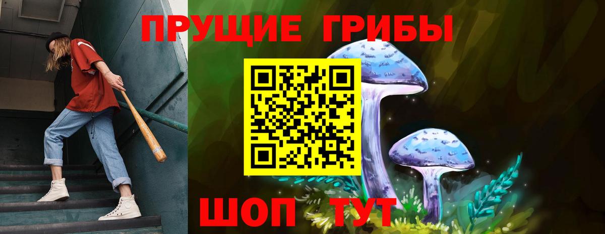Псилоцибиновые грибы Cubensis Тутаев